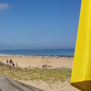 la plage en live